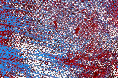 Soyut grunge dokusu, dijital duvar kağıdı