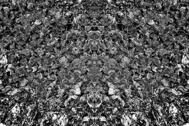 Doğada kayalık yol