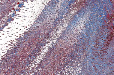 Soyut grunge dokusu, dijital duvar kağıdı