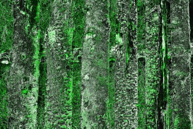 Soyut arkaplan renkli modern desen 