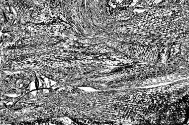 Soyut arkaplan. monokrom dokusu. resim siyah ve beyaz tonları içerir.