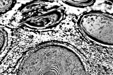 Soyut arkaplan. monokrom dokusu. resim siyah ve beyaz tonları içerir.