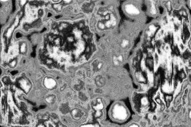 Soyut arkaplan. monokrom dokusu. resim siyah ve beyaz tonları içerir.