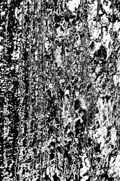 Sfondo Astratto Texture Monocromatica Immagine Compreso Effetto Toni Bianco Nero — Foto Stock