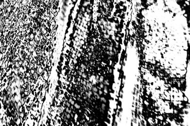 Soyut arkaplan. monokrom dokusu. resim siyah ve beyaz tonları içerir.