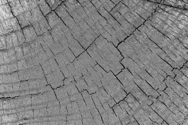 Soyut arkaplan. monokrom dokusu. resim siyah ve beyaz tonları içerir.