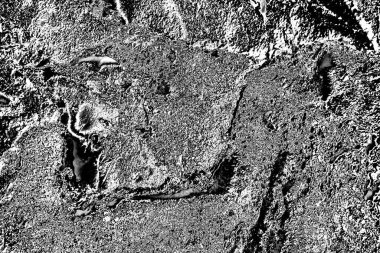 Soyut arkaplan. monokrom dokusu. resim siyah ve beyaz tonları içerir.