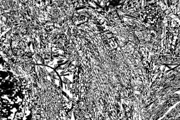 Абстрактный Фон Монохромная Текстура Изображение Включая Эффект Черно Белых Тонов — стоковое фото