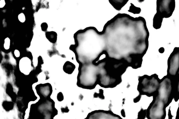 Sfondo Astratto Texture Monocromatica Immagine Compreso Effetto Toni Bianco Nero — Foto Stock