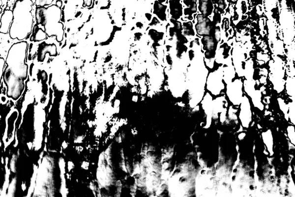 Fundo Abstrato Textura Monocromática Imagem Incluindo Efeito Tons Preto Branco — Fotografia de Stock