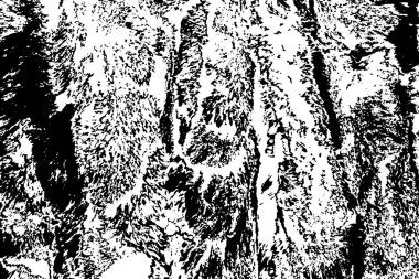 Soyut grunge arkaplanı. monokrom dokusu. siyah ve beyaz desenli 