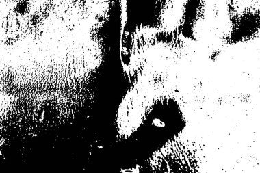 Soyut arkaplan. monokrom dokusu. siyah ve beyaz desenli 