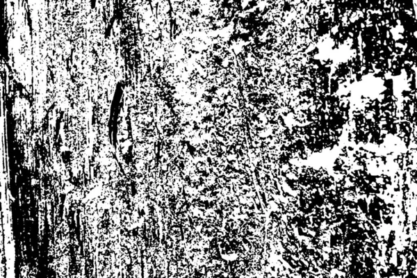 Termitový Vzor Dřevě — Stock fotografie