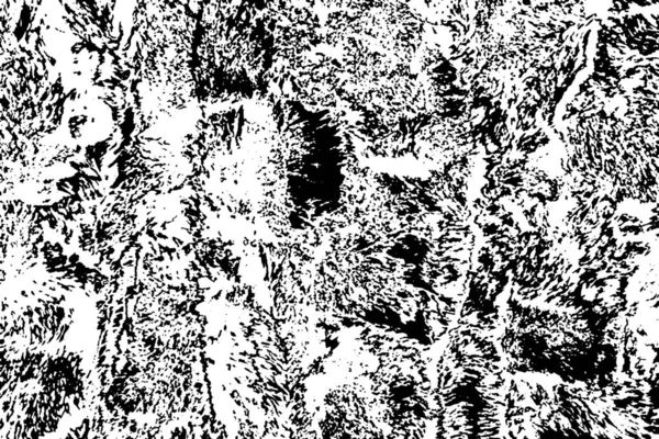 Soyut grunge arkaplanı. monokrom dokusu. siyah ve beyaz desenli 