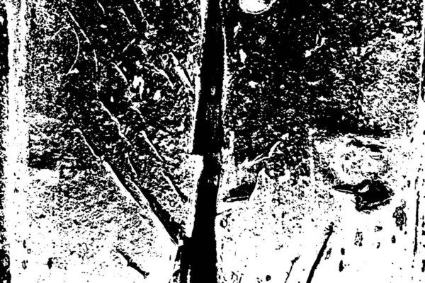 Abstrakcyjna Przeszłość Grunge Faktura Monochromatyczna Czarno Białe Teksturowane — Zdjęcie stockowe