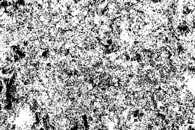 Yangın sonrası çorak arazi: kuru zemin, yanmış kuru saman