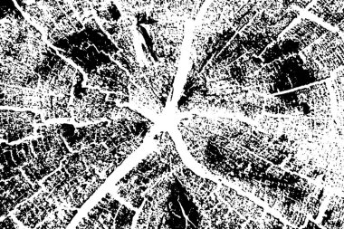 Soyut grunge arkaplanı. monokrom dokusu. siyah ve beyaz desenli 