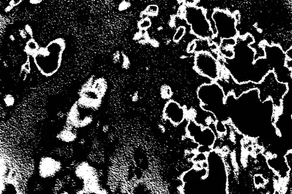 Fondo Grunge Abstracto Textura Monocromática Fondo Texturizado Blanco Negro — Foto de Stock