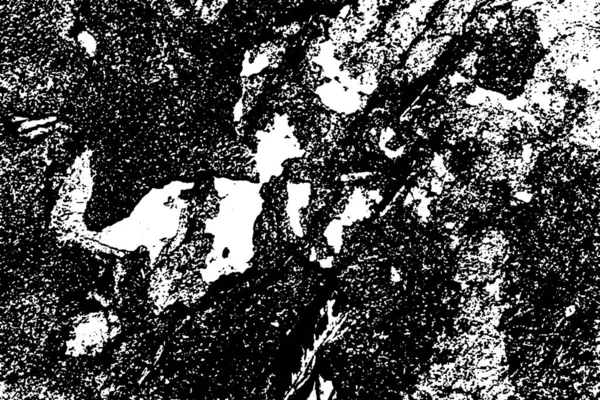 Fondo Grunge Abstracto Textura Monocromática Fondo Texturizado Blanco Negro — Foto de Stock