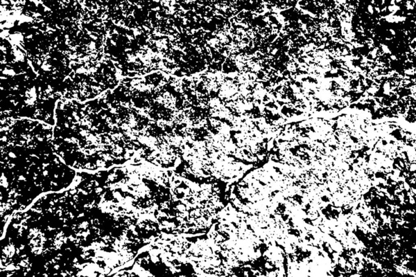 Fondo Abstracto Textura Monocromática Texturizado Blanco Negro —  Fotos de Stock