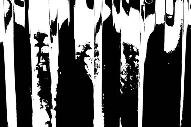 Soyut grunge arkaplanı. Monokrom dokusu. Siyah ve beyaz desenli arkaplan