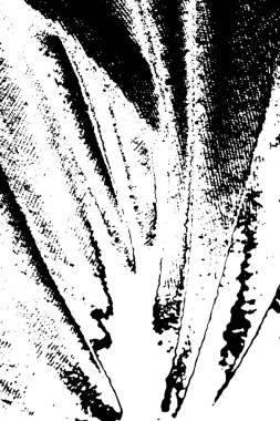 soyut tek renkli yüzey, grungy desenli arkaplan