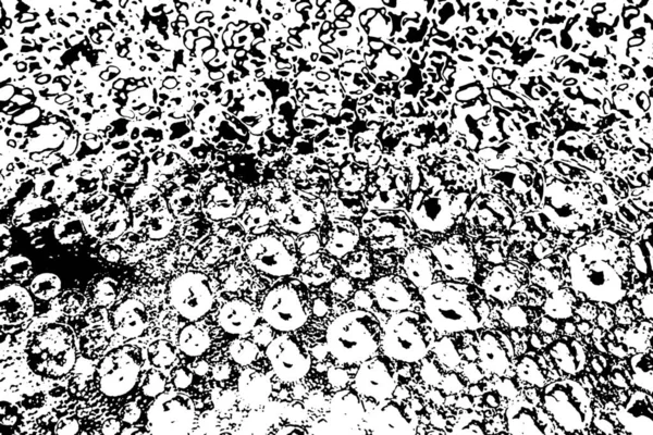 Fondo Grunge Abstracto Textura Monocromática Texturizado Blanco Negro —  Fotos de Stock