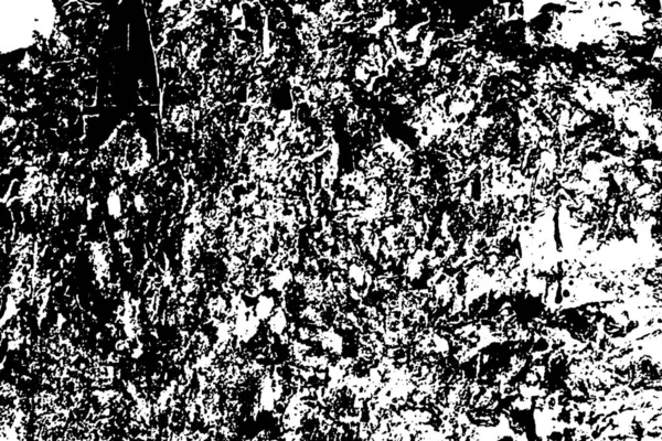 Fondo Grunge Abstracto Textura Monocromática Texturizado Blanco Negro —  Fotos de Stock