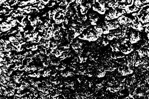 Fond Abstrait Texture Monochrome Noir Blanc Texturé — Photo