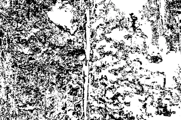 Термітовий Візерунок Дереві — стокове фото