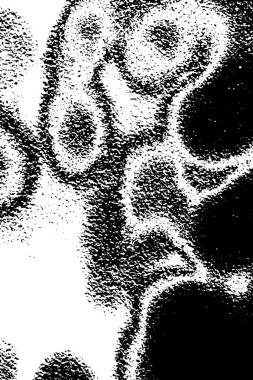 Soyut grunge arkaplanı. Monokrom dokusu. Siyah ve beyaz desenli arkaplan