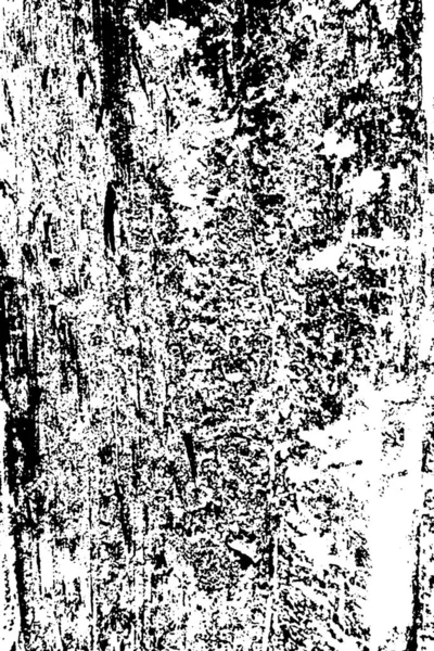 Wzór Termitu Drewnie — Zdjęcie stockowe