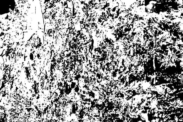 Fondo Grunge Abstracto Textura Monocromática Texturizado Blanco Negro —  Fotos de Stock