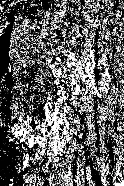 Sfondo Astratto Texture Monocromatica Immagine Compreso Effetto Toni Bianco Nero — Foto Stock