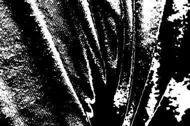 soyut tek renkli yüzey, grungy desenli arkaplan