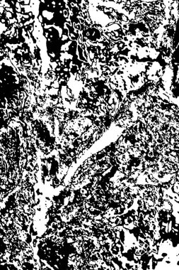 Soyut arkaplan. monokrom dokusu. resim siyah ve beyaz tonları içerir.