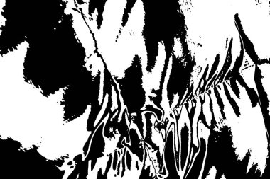 Soyut grunge arkaplanı. Monokrom dokusu. Siyah ve beyaz desenli arkaplan