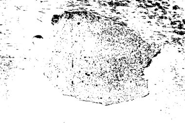 Soyut arkaplan. monokrom dokusu. siyah ve beyaz desenli 