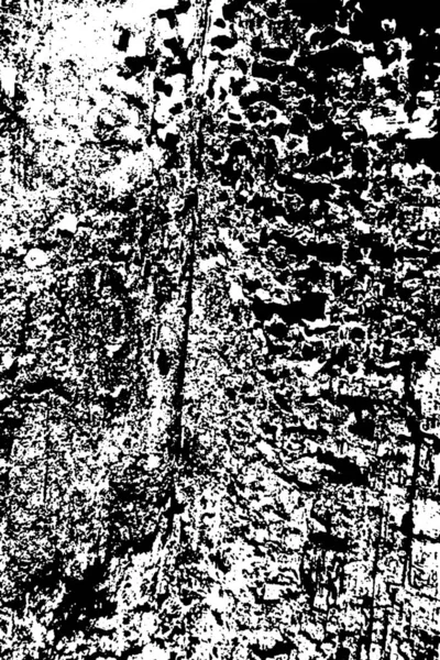 Motif Termite Bois — Photo