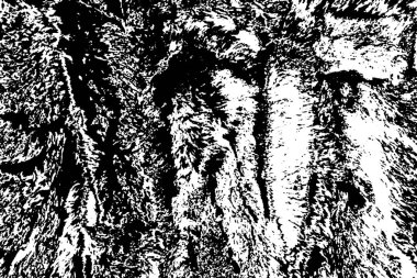 Soyut grunge arkaplanı. monokrom dokusu. siyah ve beyaz desenli 