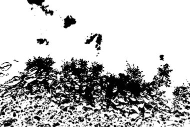 Kırsal sokaktaki su birikintileri