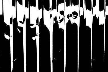 Soyut grunge arkaplanı. Monokrom dokusu. Siyah ve beyaz desenli arkaplan