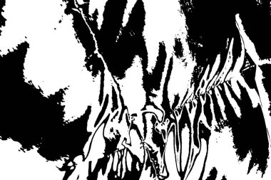 Soyut grunge arkaplanı. Monokrom dokusu. Siyah ve beyaz desenli arkaplan