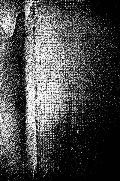 Résumé Fond Grunge Texture Monochrome Fond Texturé Noir Blanc — Photo