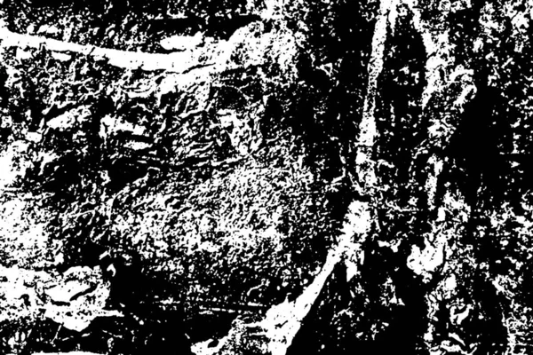 Fondo Grunge Abstracto Textura Monocromática Texturizado Blanco Negro — Foto de Stock