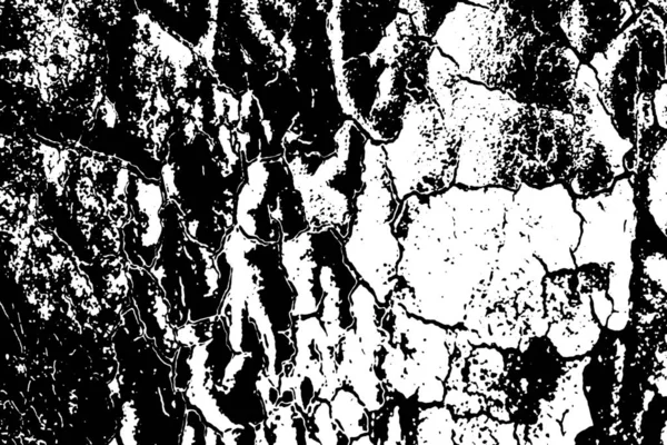 Fondo Abstracto Textura Monocromática Texturizado Blanco Negro — Foto de Stock