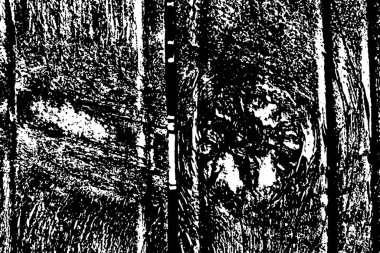 Eski ahşap dokusu. Yıpranmış bir odun parçası. Eski odunların arka planı.