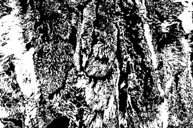 Soyut grunge arkaplanı. monokrom dokusu. siyah ve beyaz desenli 