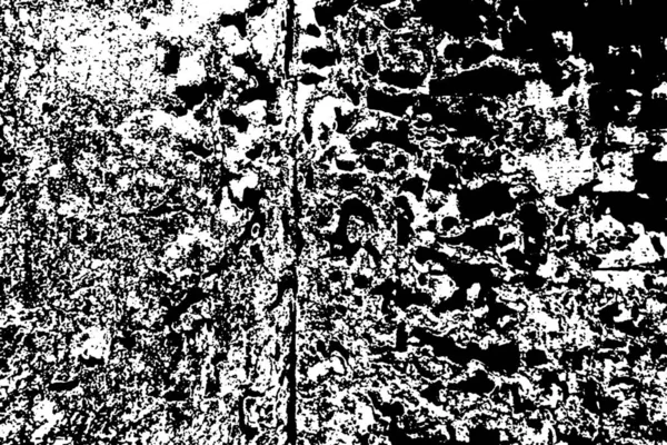 木材中のシロアリのパターン — ストック写真