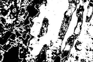 Hassas bir doku. Eski hasır arkaplan.